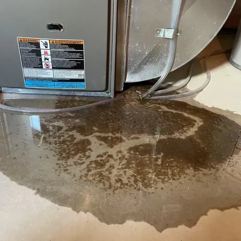 Appliance Leak Cleanup in Texas County, MO